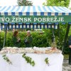Vidovska nedelja 2010_032